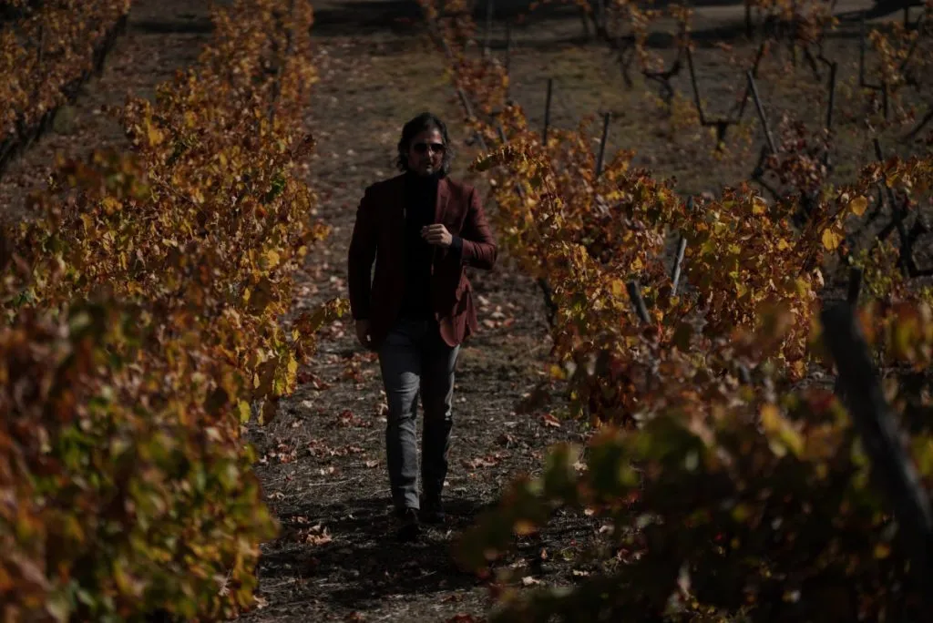 Luis Ponce Vizcaino walking in Marbella vineyard