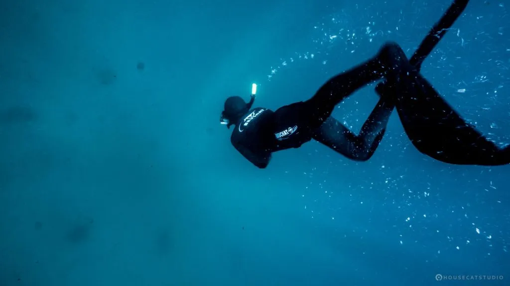 Scuba Diving in Tarifa