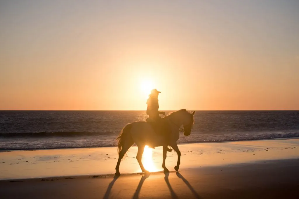 Horse Riding in Bolonia Beach