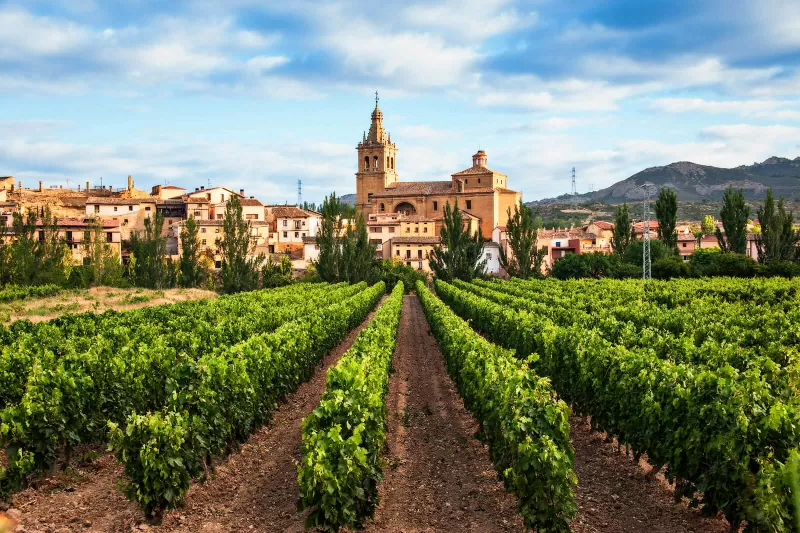 wine tourism in spain