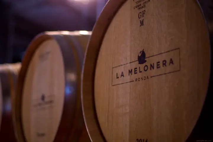 Wine Tourism in Andalusia - La Melonera