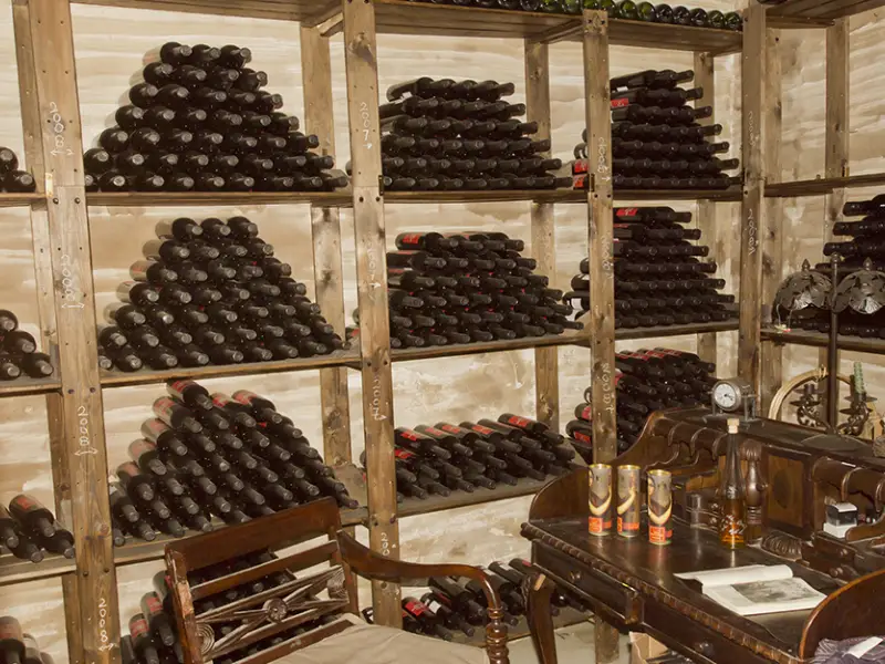 Wine Tourism in Andalusia - Museo del vino